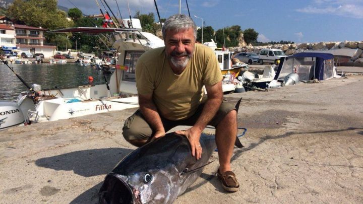 balık dedektifi, derya yolyapan, tv8.5 balık dedektifi, balık avı videoları, amatör balıkçılık, türkiye balık avlak yerleri, olta balıkçılığı teknikleri, balık yemekleri tarifleri, deniz macerası, hafta sonu balık programı, olta takımları, kıyı balıkçılığı, tekne avı, balık pişirme yöntemleri, balık avı püf noktaları, deniz gurmesi, balık avı heyecanı, derya yolyapan izle, balık dedektifi youtube, güncel balık avı