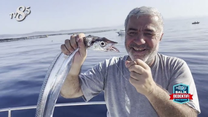 balık dedektifi, derya yolyapan, balık avı, olta balıkçılığı, deniz avcılığı, balık avı teknikleri, yaban tv, altın balık ödülleri, golden fish awards, tekne avı, spin avcılık, jigging, kıyı balıkçılığı, balık yemekleri, denizcilik, amatör balıkçılık, olta takımları, mera bilgileri, büyük balık avı, balıkçılık ekipmanları